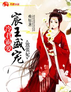 冷王宠妃全文免费阅读