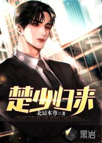 楚少归来天罡境