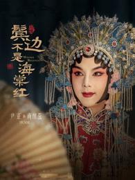 鬓边不是海棠红免费观看电视剧