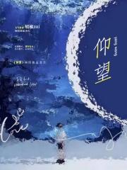 仰望u9价格