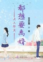夫人每天想着离婚