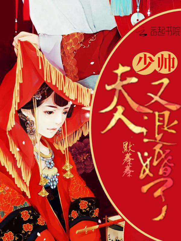 少帅夫人要退婚全文免费阅读