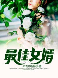 最佳赘婿内容介绍