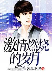 激情燃烧的岁月主题曲纯音乐mp3