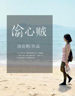 偷心贼电影高清完整版在线观看