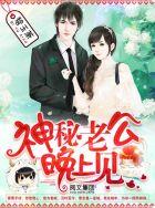 神秘老公晚上见免费阅读