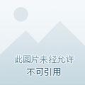 成为恋综女嘉宾后我爆生i了