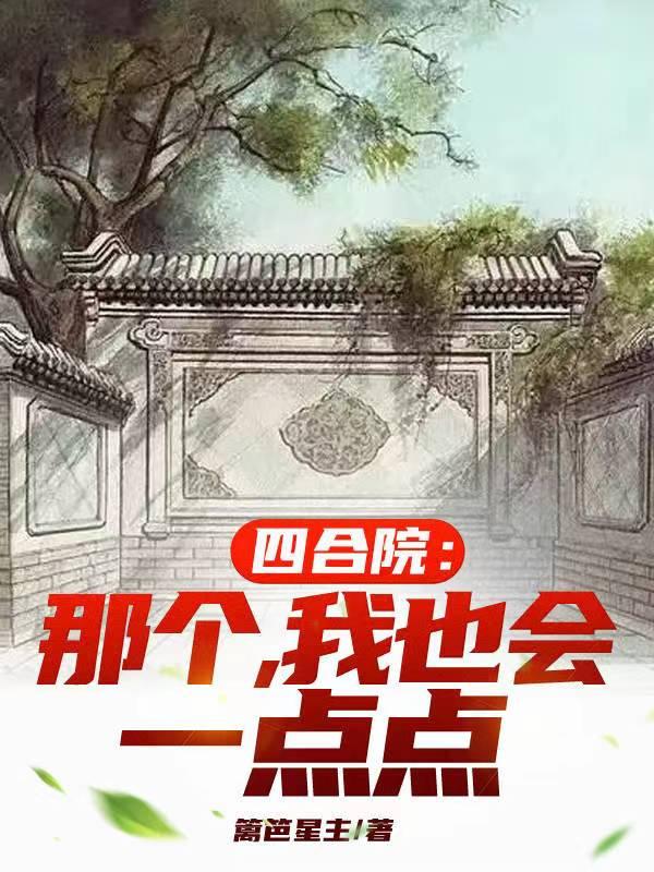 四合院我棒梗