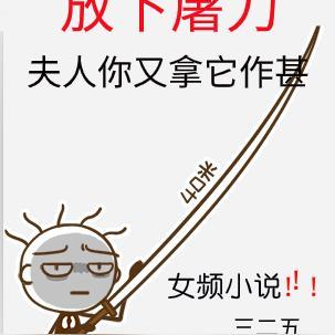 夫人你又拿它作甚合集免费
