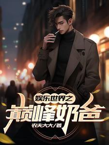 娱乐之巅峰奶爸叶秋顶点