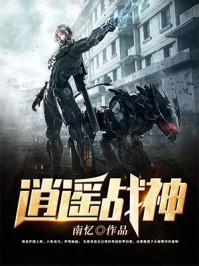 护国将帅