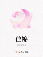 佳锦斯科技是做什么的公司