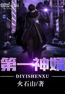 第一神婿合集一口气看完